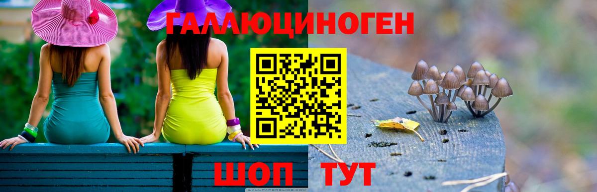 Псилоцибиновые грибы GOLDEN TEACHER  Вход с VPN  купить   Галлюциногенные грибы Psilocybe  Черкесск 